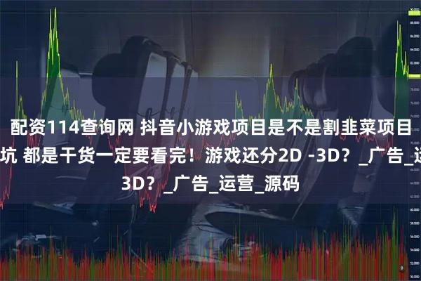 配资114查询网 抖音小游戏项目是不是割韭菜项目？如何避坑 都是干货一定要看完！游戏还分2D -3D？_广告_运营_源码